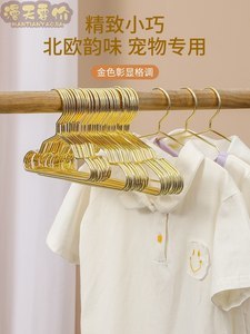 寵物衣架上的泰迪 萌寵時(shí)尚穿搭與溫馨家居圖鑒