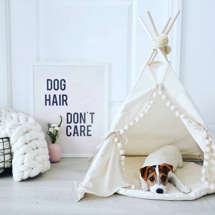 打造愛(ài)寵專屬空間 寵物衣架與收納架的魅力